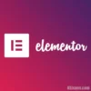 wp elementor pro lisansı